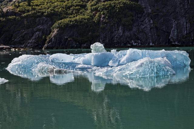 034 Tracy Arm.jpg